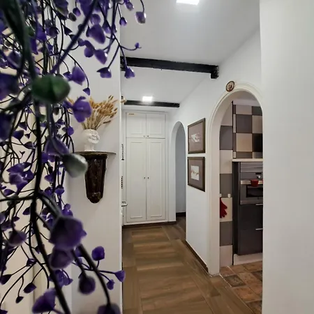 아파트 El Apartamento De Silvia, San Isidro, Tenerife 산이시드로